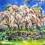 A. John Kammer, <i>
Cherry Trees,
Philadelphia Art Museum</i><br>
 Oil on canvas
30" x 40"