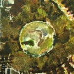 Frank Vavricka 
Earth 
Oil on panel 
10" x  11