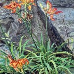 Day Lilies, (Chester Cty, PA) Oil on canvas, 38 x 24, Private Collection
