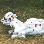Longhorn Calf I, 
Oil on Canvas 8 x 10