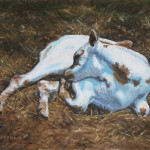 Longhorn Calf II, 
Oil on Canvas 8 x 10