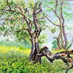 Old Tree with Chipmunk, Private Collection