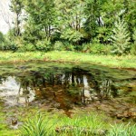 Pig Iron Pond, Oil on canvas, Private Collection