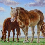 Two Horses (Spring), 
Oil on panel 16 x 18, Private Collection