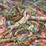 Fallen Log (Connecticut), 
Oil on Canvas 36 x 46