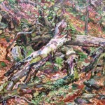  Fallen Log (Sketch) (Connecticut),  Oil on panel 24 x 18, 
Private Collection