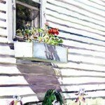 Window Box, Elm Ave.
Watercolor
24 x 19