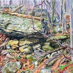 Loyalhanna Gorge Rocks, Oil on Panel 13 x 15