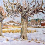  McConnaughey Farm Trees, 
Oil on Panel 11 x 14