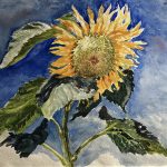 SUNFlower, Watercolor